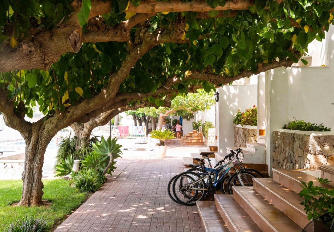 Apartamentos Els Romers Benicarló-Peñíscola Exterior foto